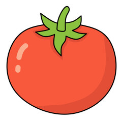 Tomato Vector Illustration
