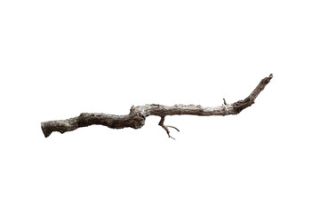 Natural branch, single branch, tree branch
