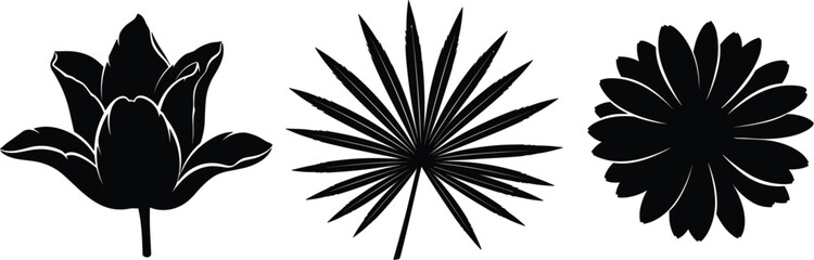 Black silhouettes of lotus palm and chrysanthemum flowers white