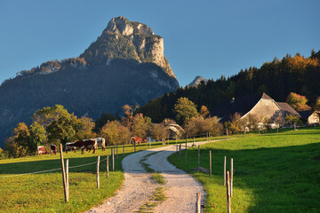 Der Sparber im Salzburger Land