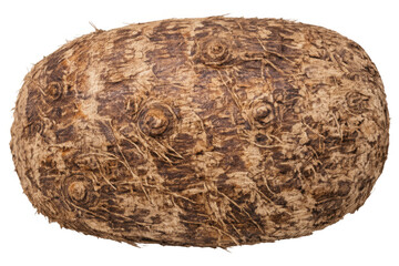 Fototapeta premium Elephant foot yam tuber on a transparent background, showing its rough brown skin texture. Asian organic vegetable root crop