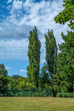 Sportplatz mit blick auf zwei gro&szlig;e Pappeln