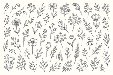 Simple abstract drawing featuring a red curved line against a stark white background high quality professional