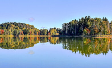 Adamovo Lake Latvia Autumn Sunny