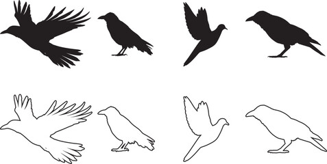 Obraz premium Swooping bird in flight silhouette minimalist black vector illustration flat design