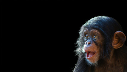 Young chimpanzee portrait isolated on a black background with room for text © Patrick Rolands