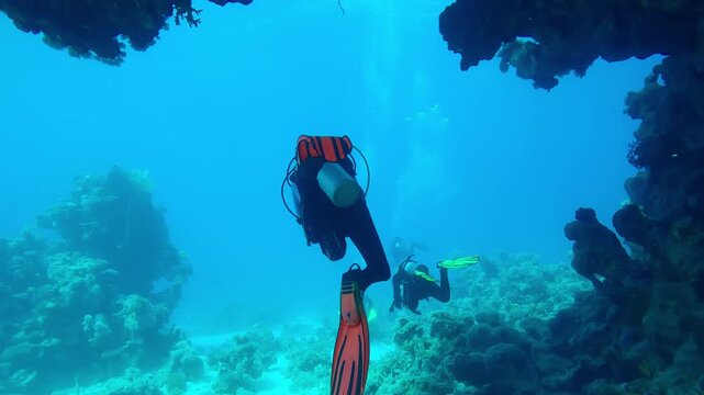 Back view of divers swimming one after another under coral arch on blue water background, Slow motion of group of scuba divers swim in a large coral tunnel