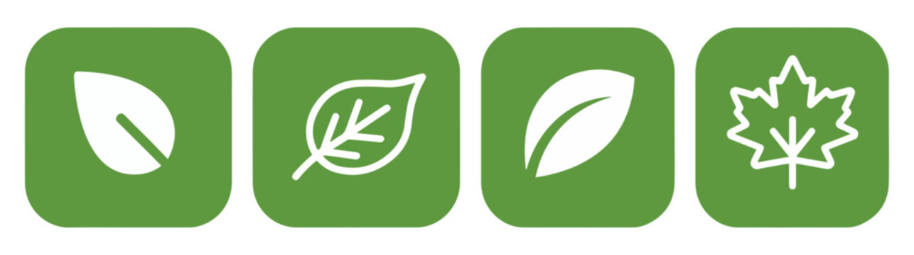green leaf nature icon set