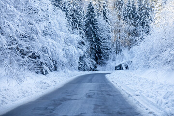 A breathtaking fairytale winter landscape with frosty, snow-covered fir trees lining the road