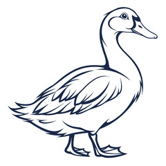 Obraz premium Graceful duck in simple line art