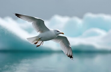 Obraz premium Ivory gull flies over cold ocean water near icebergs. White bird with orange beak soars in sky. Arctic nature scene features lone avian in flight against icy background.