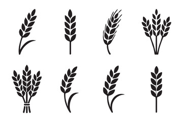 Simple hand drawn line art of a wheat stalk on a white background