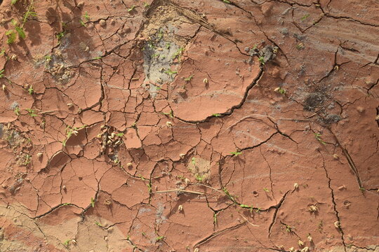 Solo seco e rachado de regi&atilde;o desertica, textura de terra ressecada