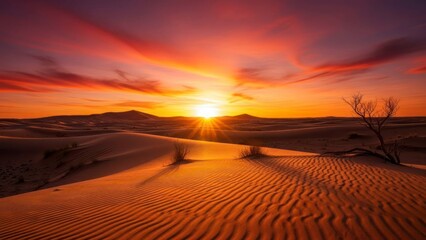Desert sunset