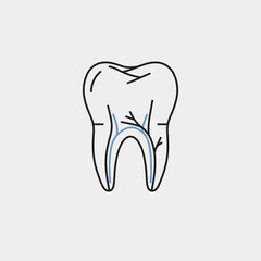 Obraz premium Tooth illustration showing internal structure and root canals 