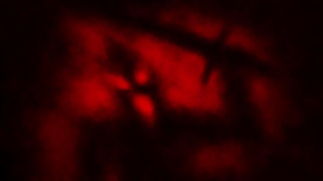 Dark horror 2D animation. Horror fantasy genre. Halloween ghost short animated movie. Scary thing silhouette in fog. Abstract Vj looped video clip.  Spooky visions of hell. Black and red background.