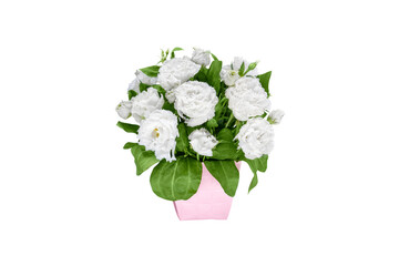 White eustoma flower bouquet in pink decorative pot isolated on clean background