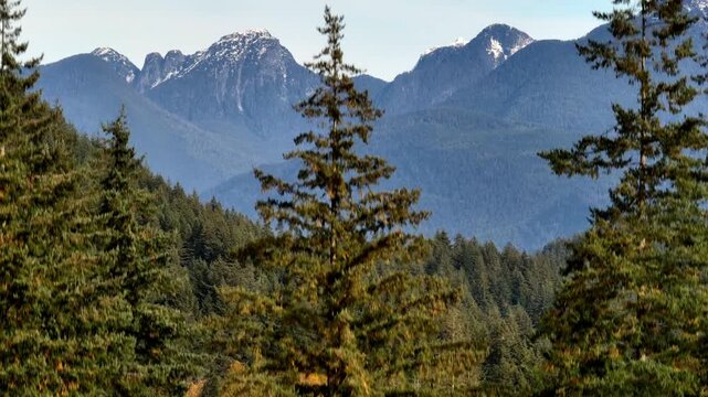 Overlooking Pinecone Burke Provincial Park At Burke Mountain In Vancouver, British Columbia, Canada. Aerial Ascending Shot