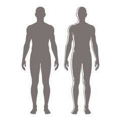 Human Body Silhouette Icon &ndash; Anatomy Medical Figure Health Illustration