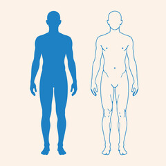 Human Body Silhouette Icon &ndash; Anatomy Medical Figure Health Illustration
