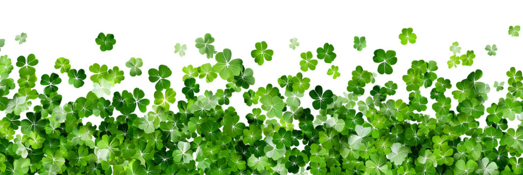 Falling shamrocks, flying green clovers leaves isolated on white or transparent panoramic background. St Patrick's day celebration web banner