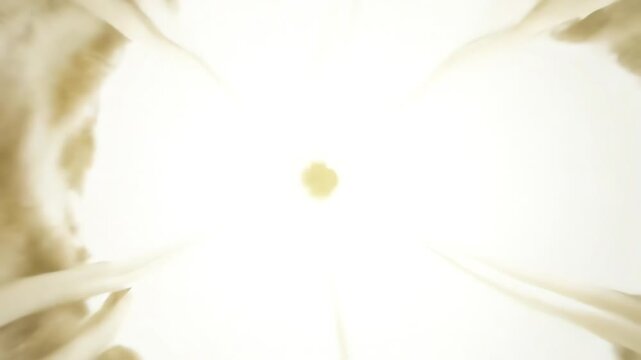 Vintage floral vector design featuring a spring nature pattern with abstract flowers and butterflies forming an elegant summer leaf border decoration for a botanical art card or banner illustration