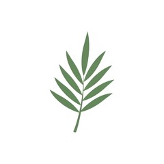 Obraz premium Single green leaf branch isolated.