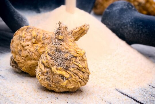 Peruvian ginseng or maca (Lepidium meyenii), natural viagra. fresh and dried root, powder. generated with AI