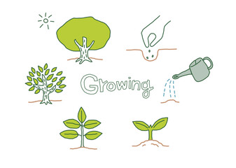 成長する植物　ベクターイラスト