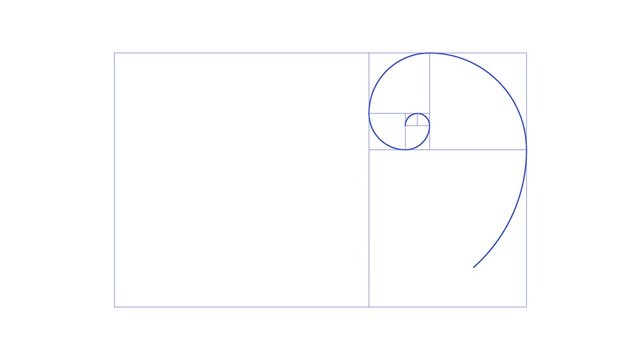 Fibonacci spiral line animation on white background for design projects