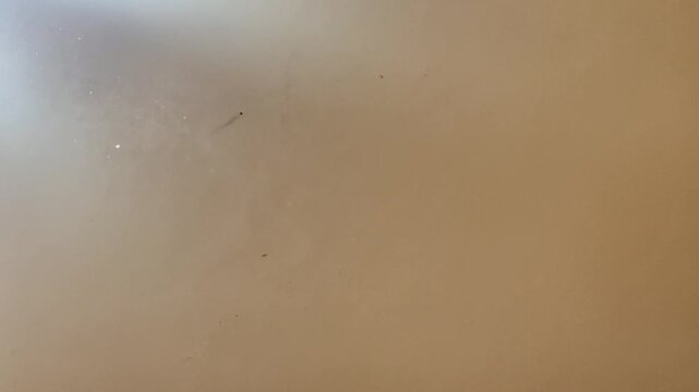 Dust Particles Floating in Sunlight Beam with Tyndall Effect Background