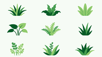 Nine Green Plant Illustrations