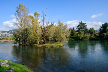 Fototapeta premium Small tree-covered island in a calm river with reflections, surrounded by lush greenery under a blue sky, peaceful natural landscape ideal for travel and nature themes.