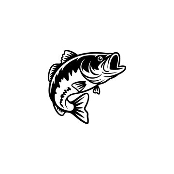 A bold black and white vector illustration of a bass fish jumping. The design features a dynamic pose with thick outlines and detailed scales on a white background.