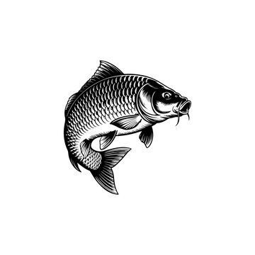 A bold black and white vector illustration of a carp fish jumping. The design features a curved, dynamic pose with detailed scales and long barbels on a white background.