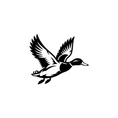 Obraz premium A bold black and white vector illustration of a wild duck in flight. The design features a dynamic pose with detailed feathers and outspread wings on a white background.