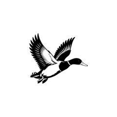Fototapeta premium A bold black and white vector illustration of a wild duck in flight. The design features a dynamic pose with detailed feathers and outspread wings on a white background.