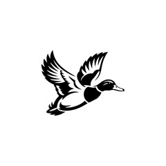 Fototapeta premium A bold black and white vector illustration of a wild duck in flight. The design features a dynamic pose with detailed feathers and outspread wings on a white background.