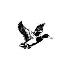 Fototapeta premium A bold black and white vector illustration of a wild duck in flight. The design features a dynamic pose with detailed feathers and outspread wings on a white background.