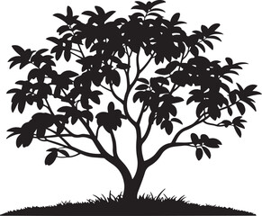 Obraz premium Black silhouette of a deciduous leafy fruit tree with a wide canopy and lush foliage standing on a grassy hill isolated on a white background