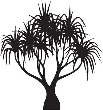 Black silhouette of a tropical screw pine pandanus tree with sharp pointed leaves and a thick trunk isolated on a clean white background for design