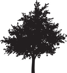 Fototapeta premium A black silhouette of a tall evergreen pine tree with detailed needles and branches standing on a grassy hill isolated on white background for graphic design