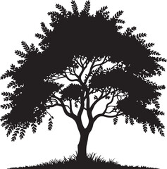 Fototapeta premium PrintMinimalist black deciduous tree silhouette vector illustration showing lush summer leaves and canopy isolated on white background for outdoor nature park logo branding graphic design