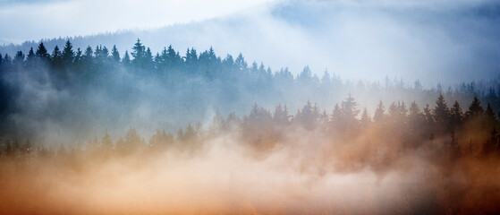 Nebelschwaden in einer hügeligen Waldlandschaft © by-studio