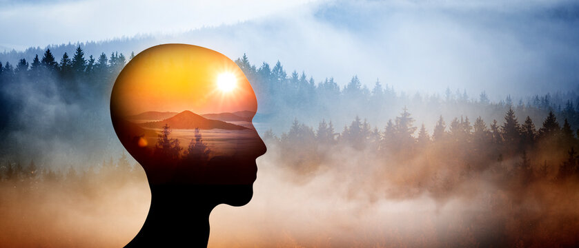 Silhouette einer person mit klarer imagination vor einer Nebellandschft