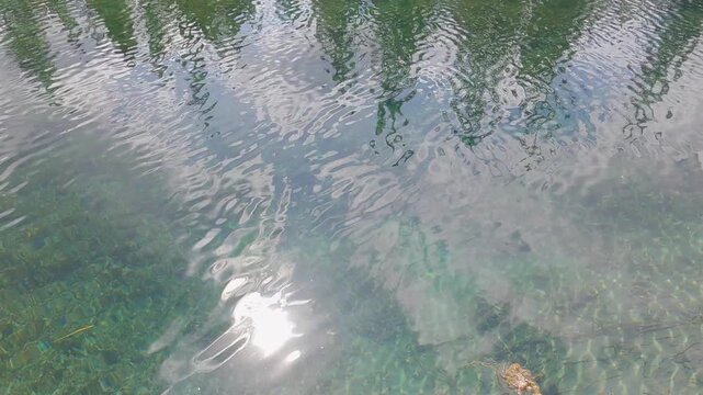 The green water reflects the vibrant greenery, showcasing the untouched natural beauty of the wilderness. This cinematic scene perfect for projects related to eco-tourism, environmental conservation	
