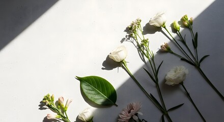 White roses and lilies with green leaves casting shadows on a white surface.