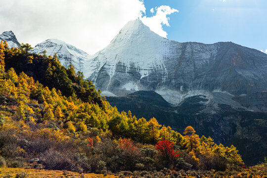 Beautiful Scenic of Luorong Grassland in Yading Nature Reserve, China.