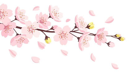Fototapeta premium Delicate Pink Cherry Blossoms Branch with Falling Petals