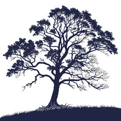 Obraz premium Silhouette of a majestic tree